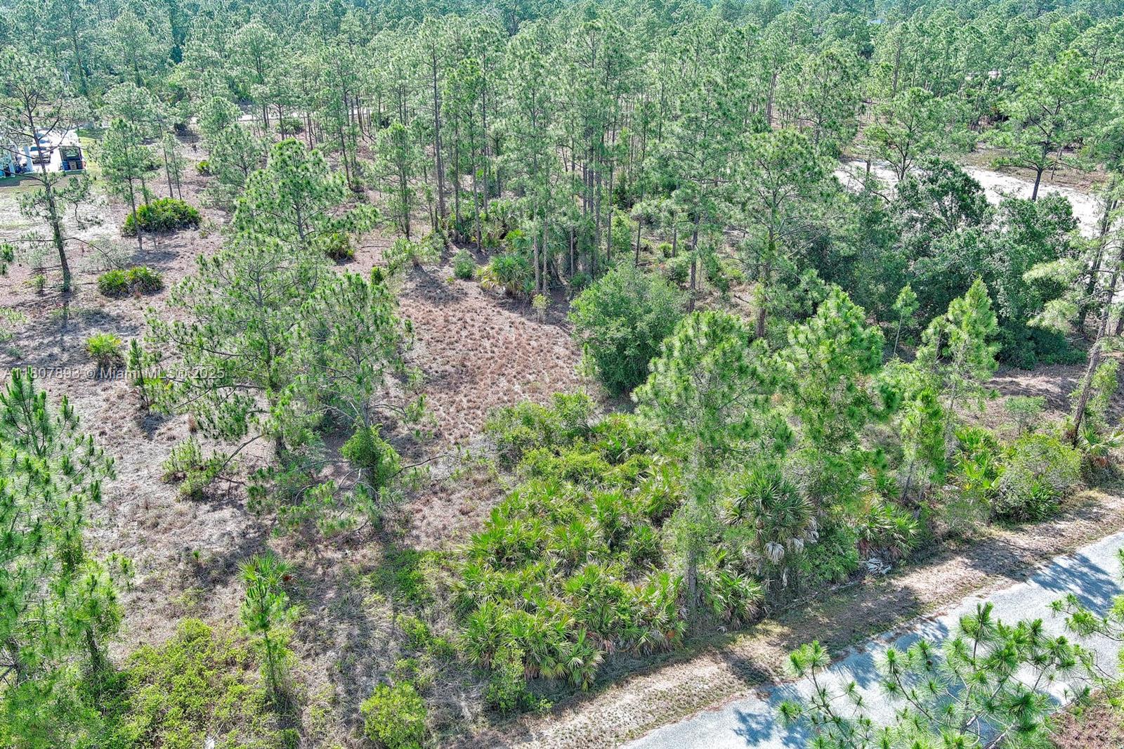 Exclusively presented by Sunland Real Estate: Discover a stunning piece of land in the heart of Southwest Florida! This 0.5-acre lot is perfectly situated close to local shops, schools, and all the amenities you need. Lehigh Acres is one of the fastest-growing towns in the area, making this an ideal investment opportunity. This is a great spot for your new home, just off the main roads but still conveniently located to all the necessary amenities.