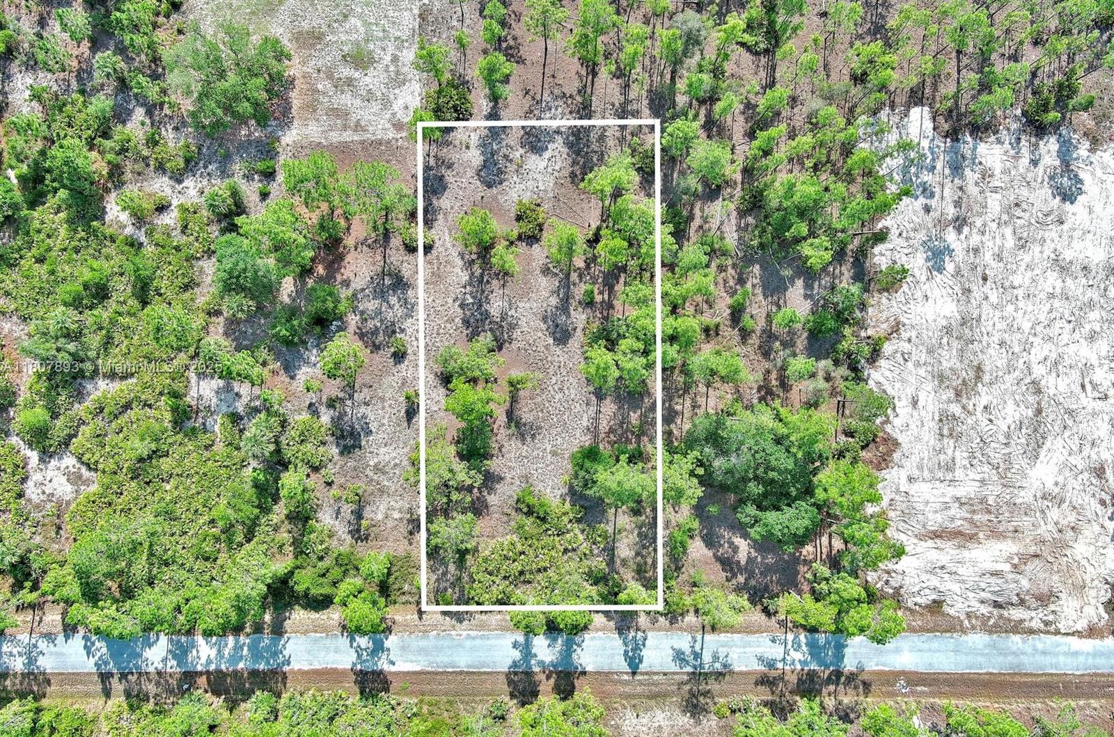 LEHIGH ACRES - Land