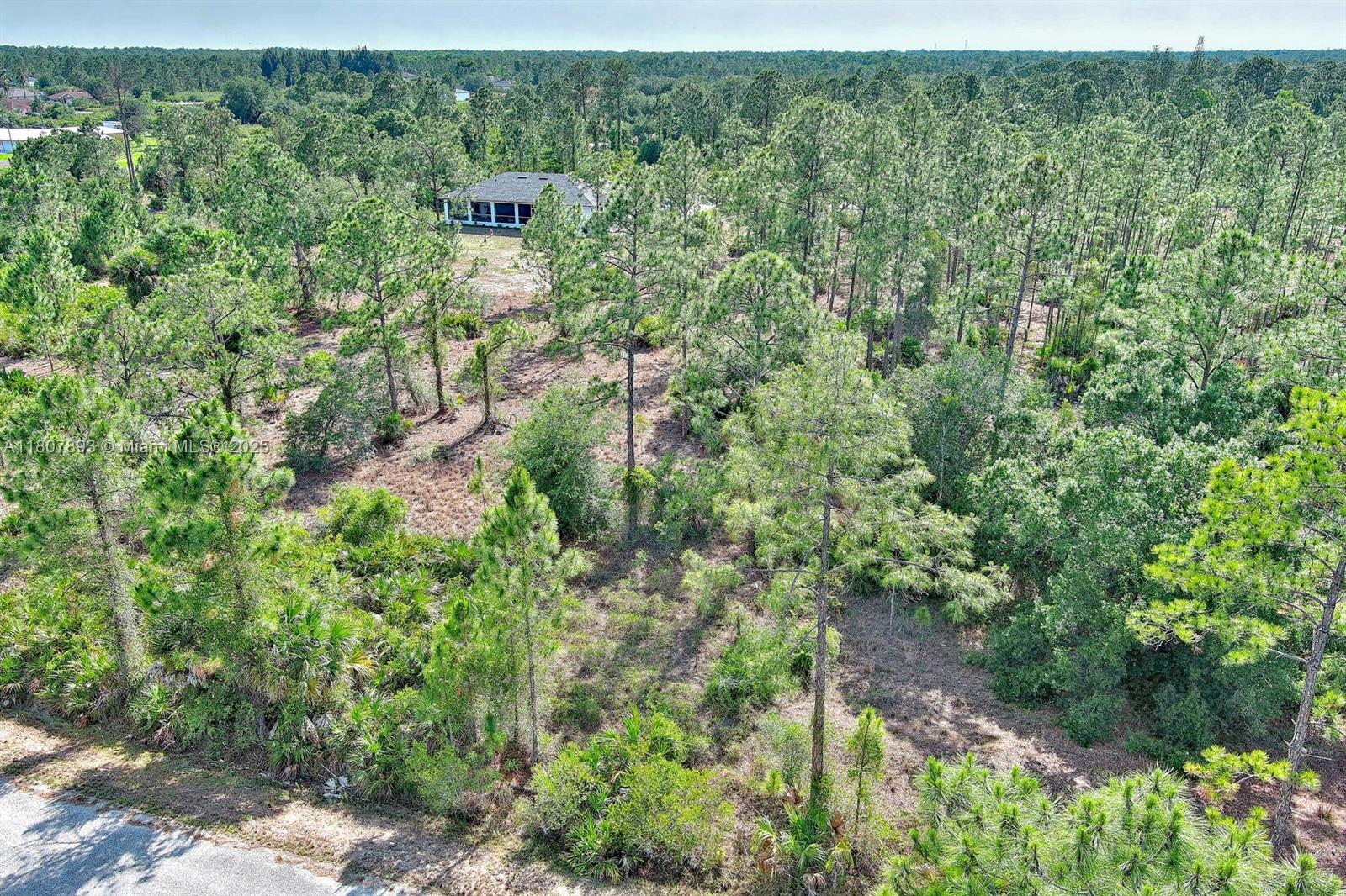 LEHIGH ACRES - Land