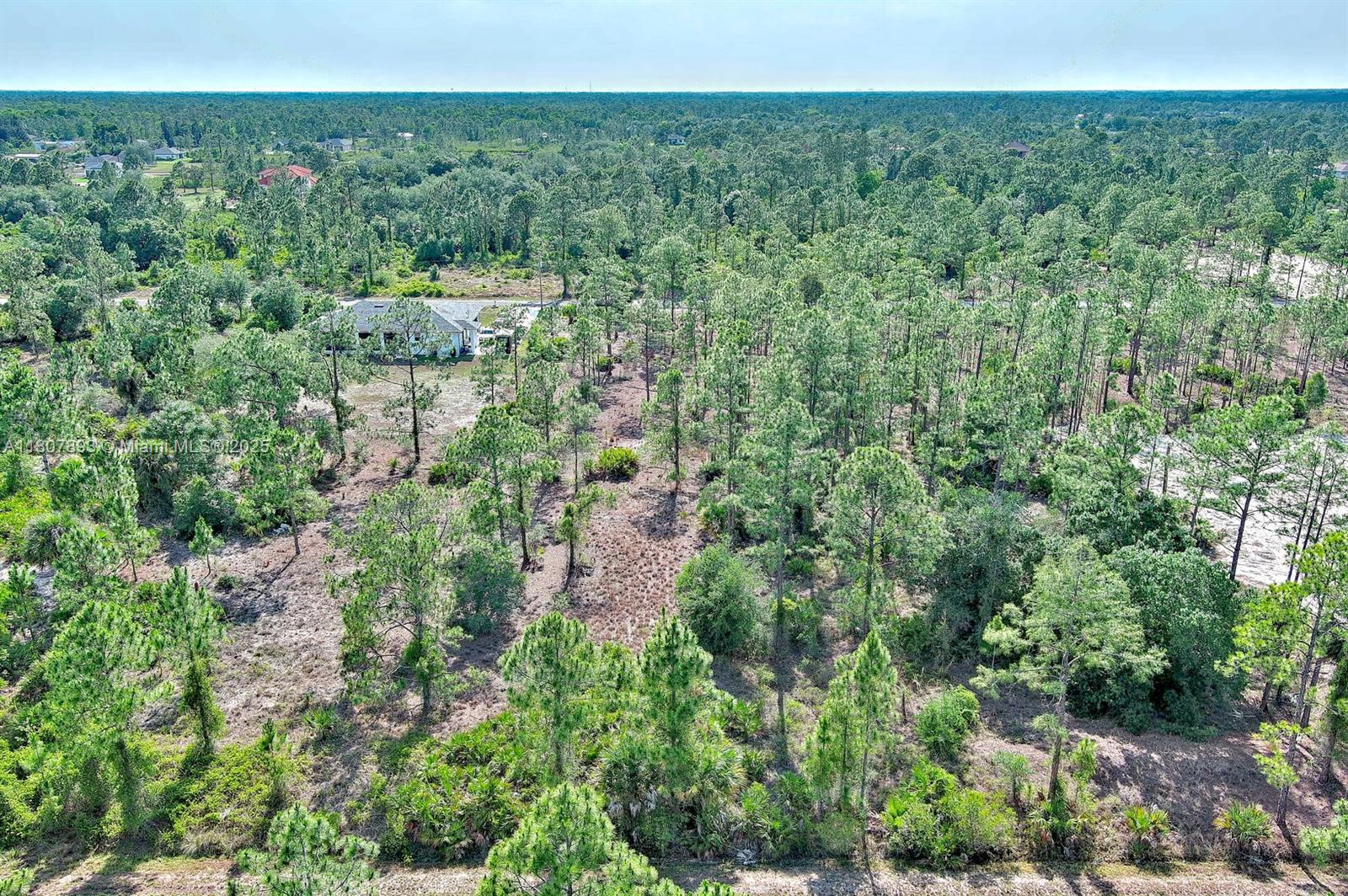 LEHIGH ACRES - Land