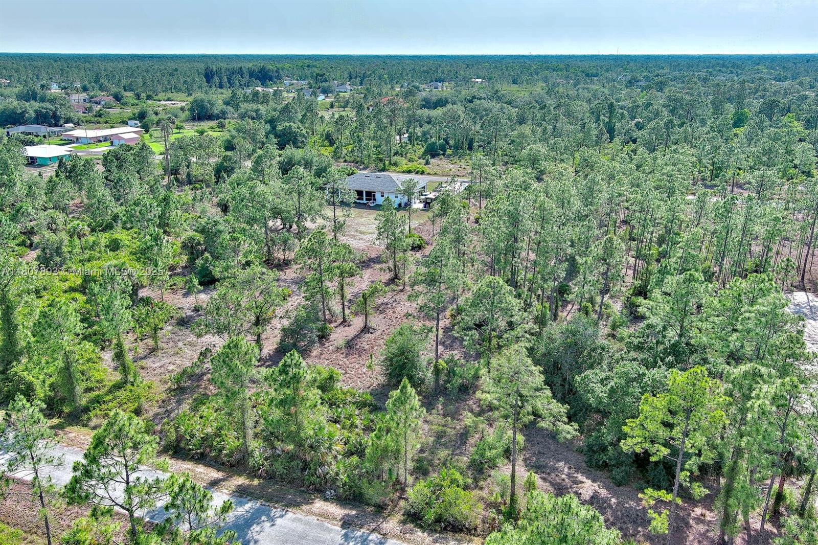 LEHIGH ACRES - Land
