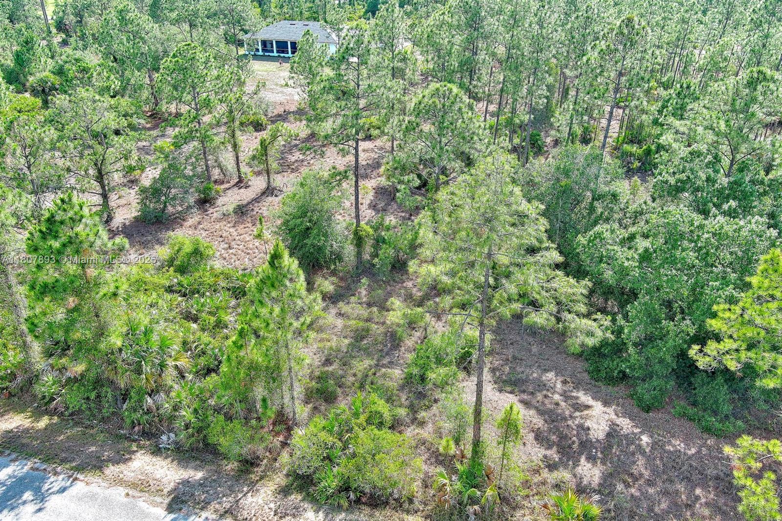 LEHIGH ACRES - Land