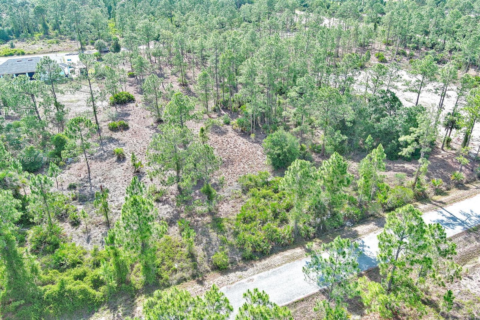 LEHIGH ACRES - Land