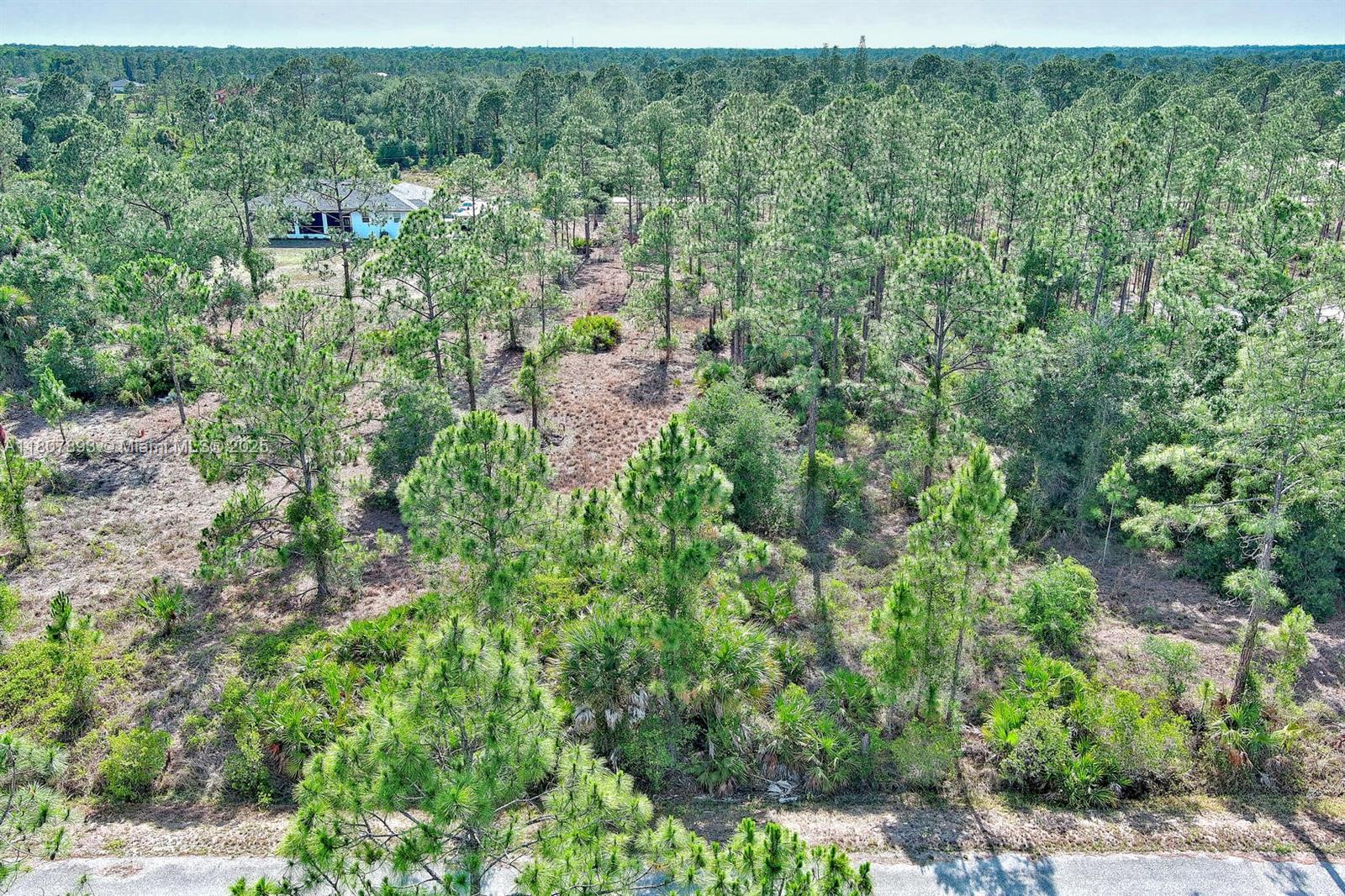 LEHIGH ACRES - Land