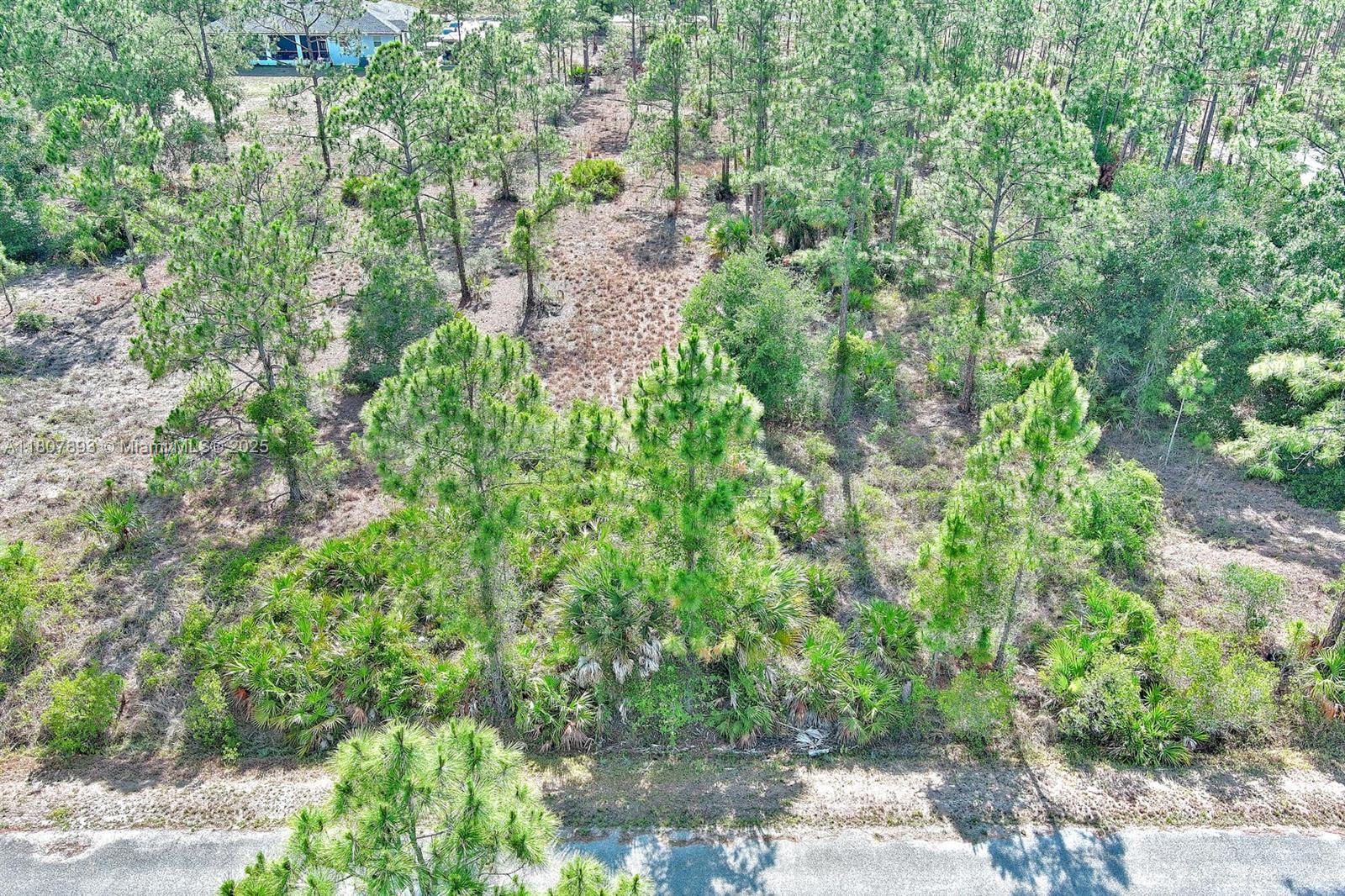 LEHIGH ACRES - Land