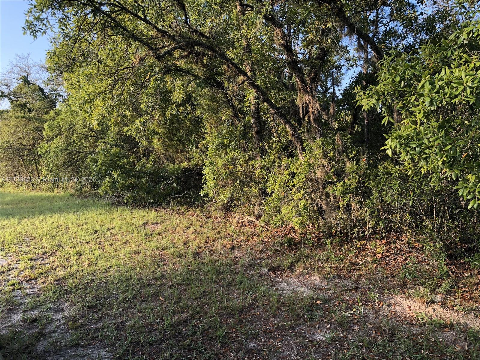 MARION OAKS - Land