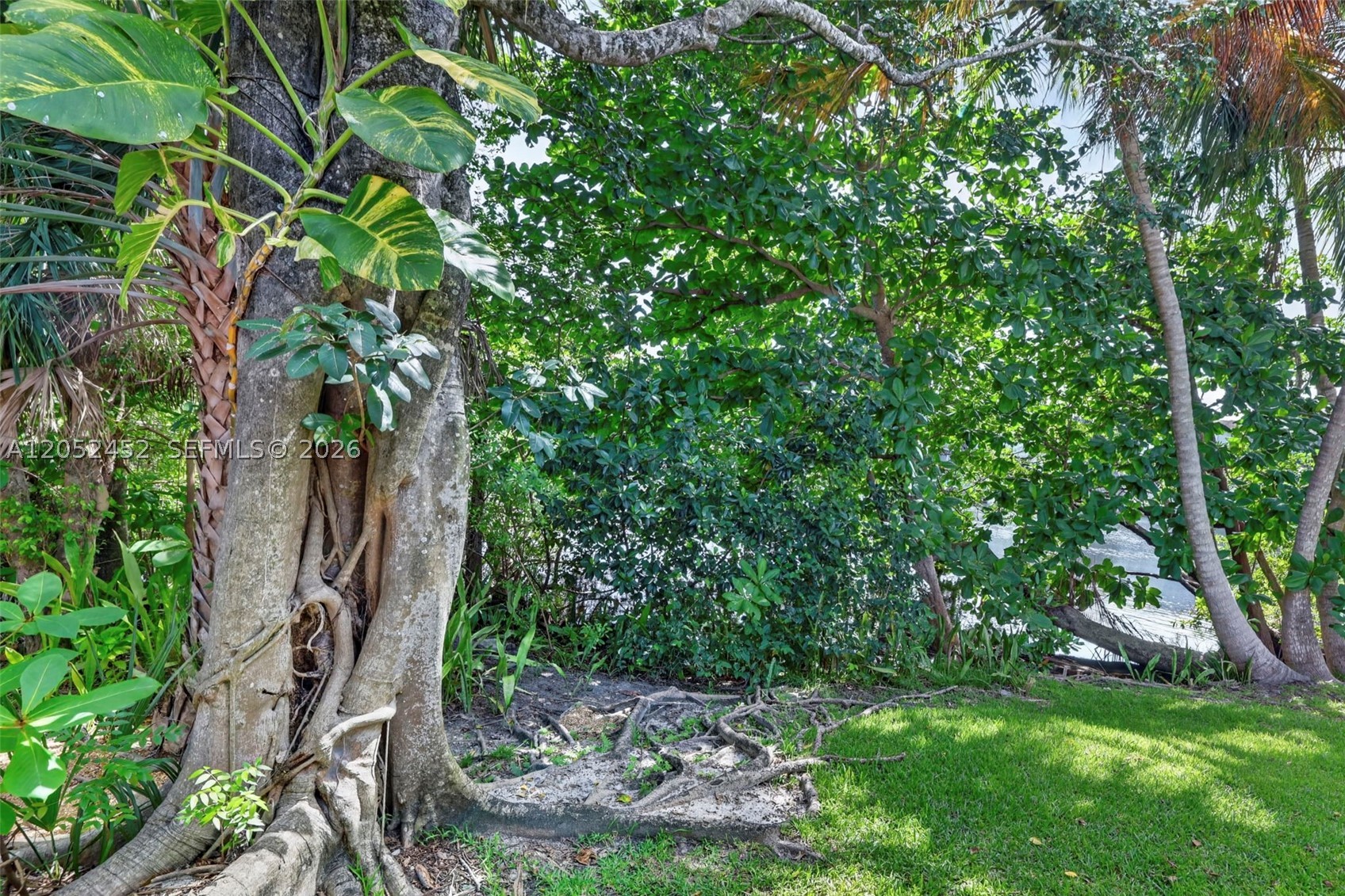 WOODS CONDO - Residential