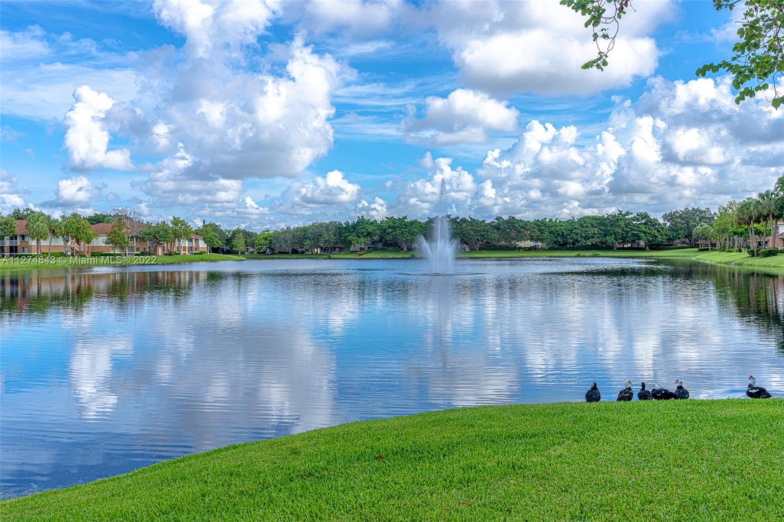 COLONNADES CONDO - Residential