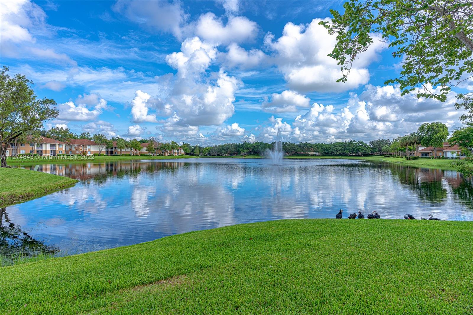 COLONNADES CONDO - Residential