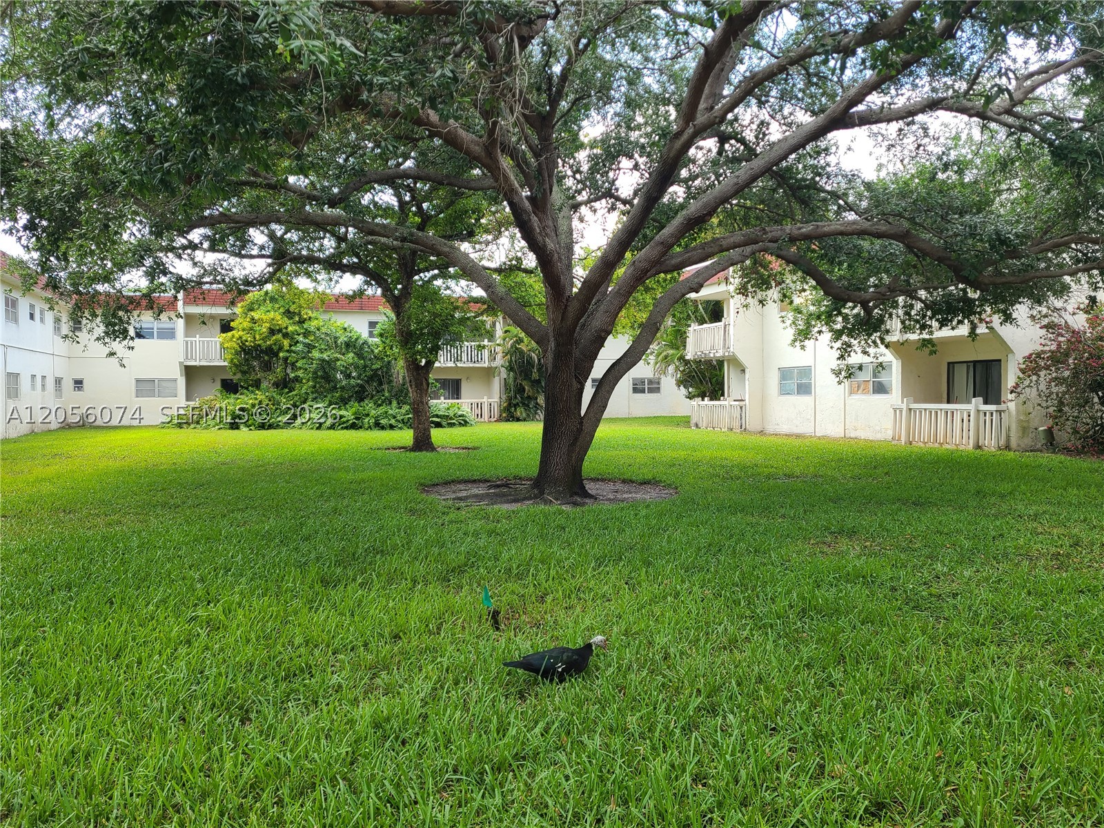 MARLBORO ESTATES CONDO - Residential
