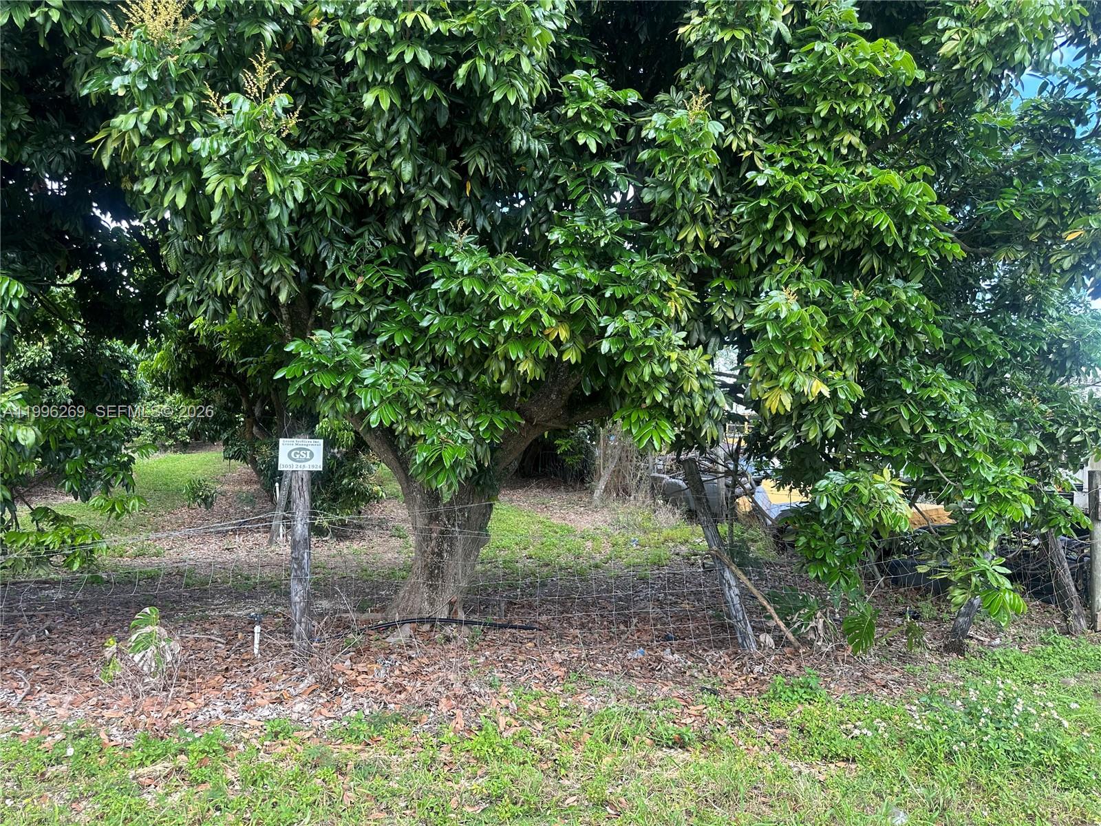 SOUTH REDLAND - Land