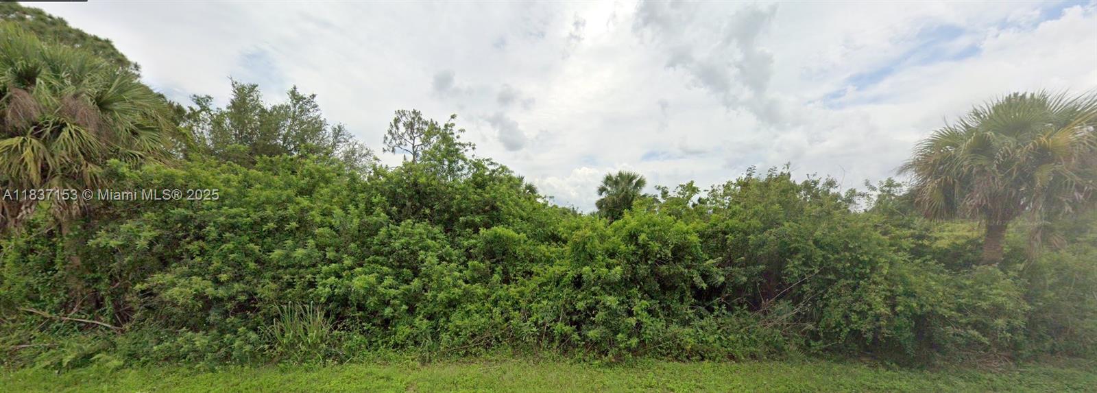 Build Your Dream Home in Lehigh Acres! This spacious vacant quarter acre lot is ready for you to build your custom single-family home in the growing community of Lehigh Acres! Enjoy peaceful surroundings, affordable living, and easy access to Fort Myers while being close to shopping, dining, parks, and top-rated schools. With plenty of new development in the area, this is the perfect opportunity to invest in Florida living! SELLER FINANCING AVAILABLE!!

The buyer’s agent or broker is required to be present at all showings, meetings, inspections, and appointments. Unaccompanied buyers will not be permitted access to the property.