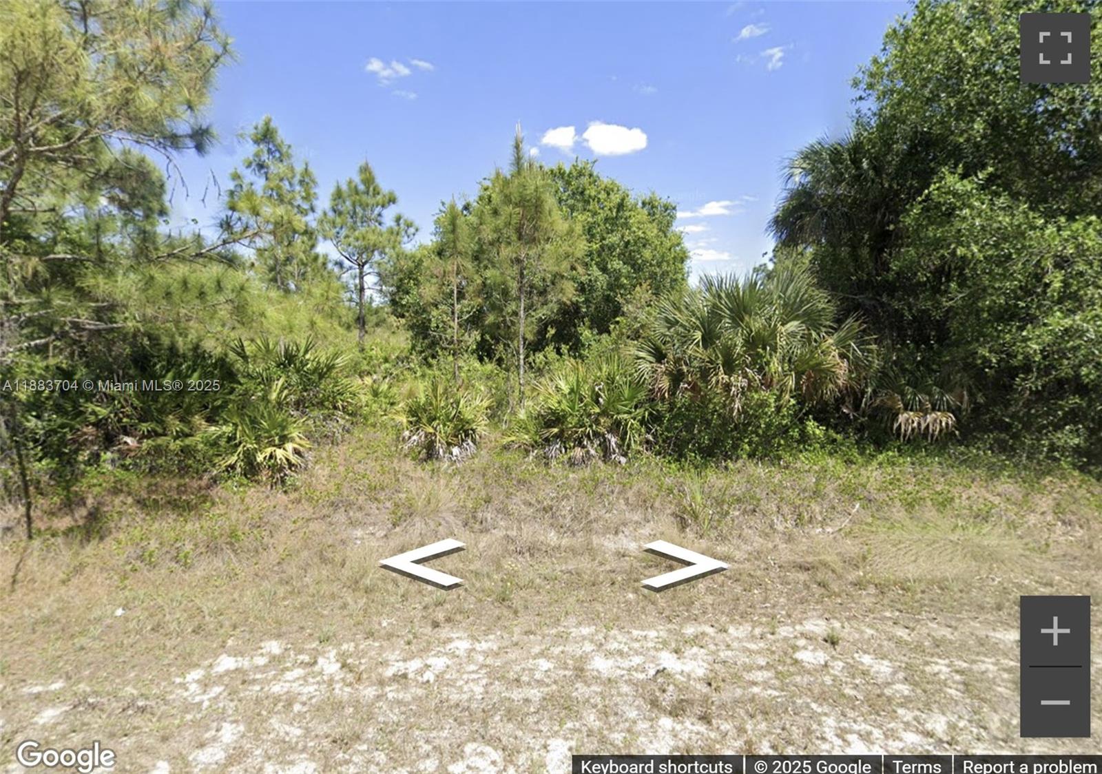 Lehigh Acres Unit 9 - Land
