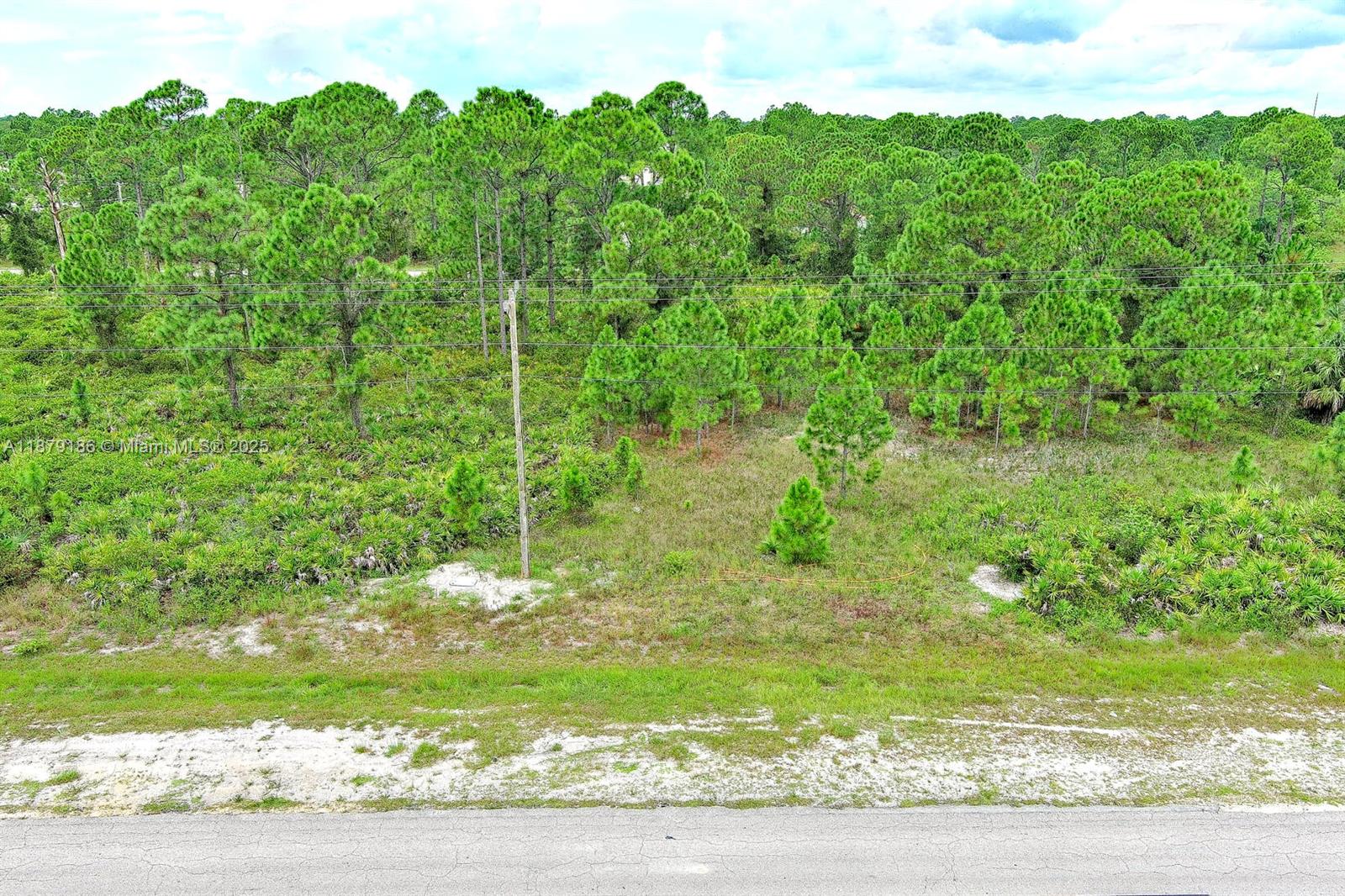 LEHIGH ACRES - Land