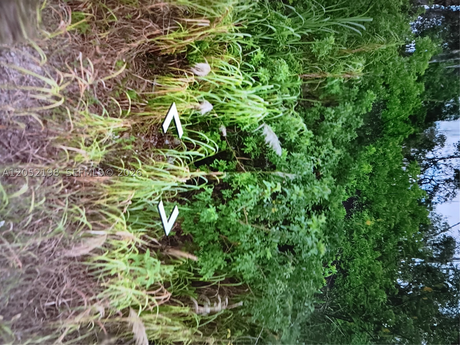 GREEN HAVEN ACRES - Land