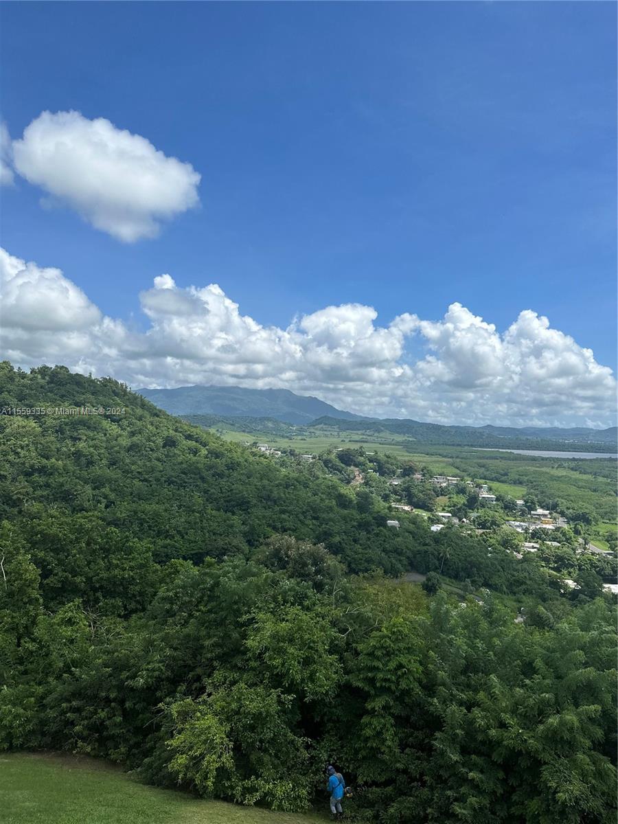 Sea View - Land