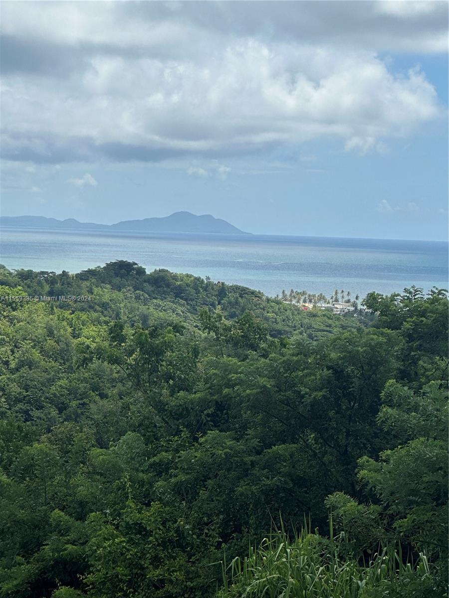 Sea View - Land