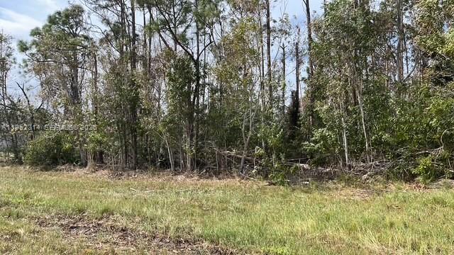 Cape Coral - Land