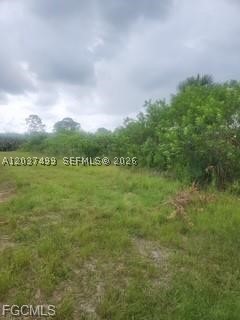Lehigh Acres - Land