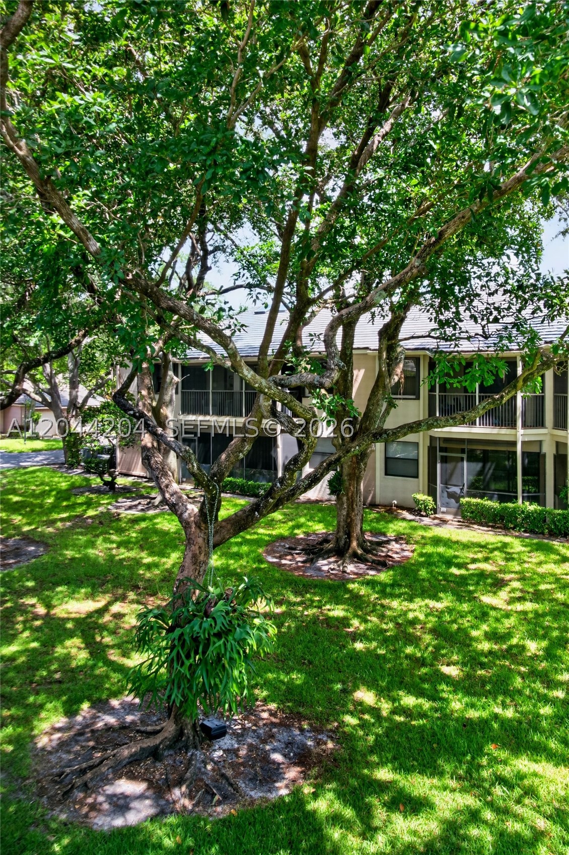 CHATHAM TOWNE AT JACARAND - Residential