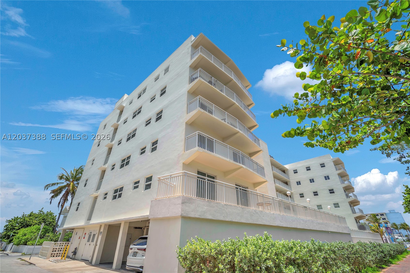 ANDORIC APTS CO-OP - Residential
