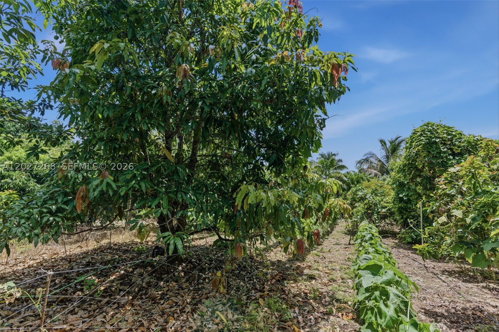 Redlands - Residential