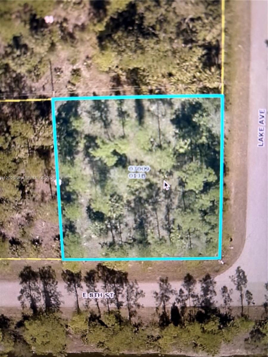 Go and show! What an amazing opportunity to build your dream home or investment property on this 1/4 acre corner vacant lot! Located in Lehigh Acres, this parcel offers the perfect blend of privacy, space, and convenience. Don’t miss this chance to own land in one of Florida’s growing communities