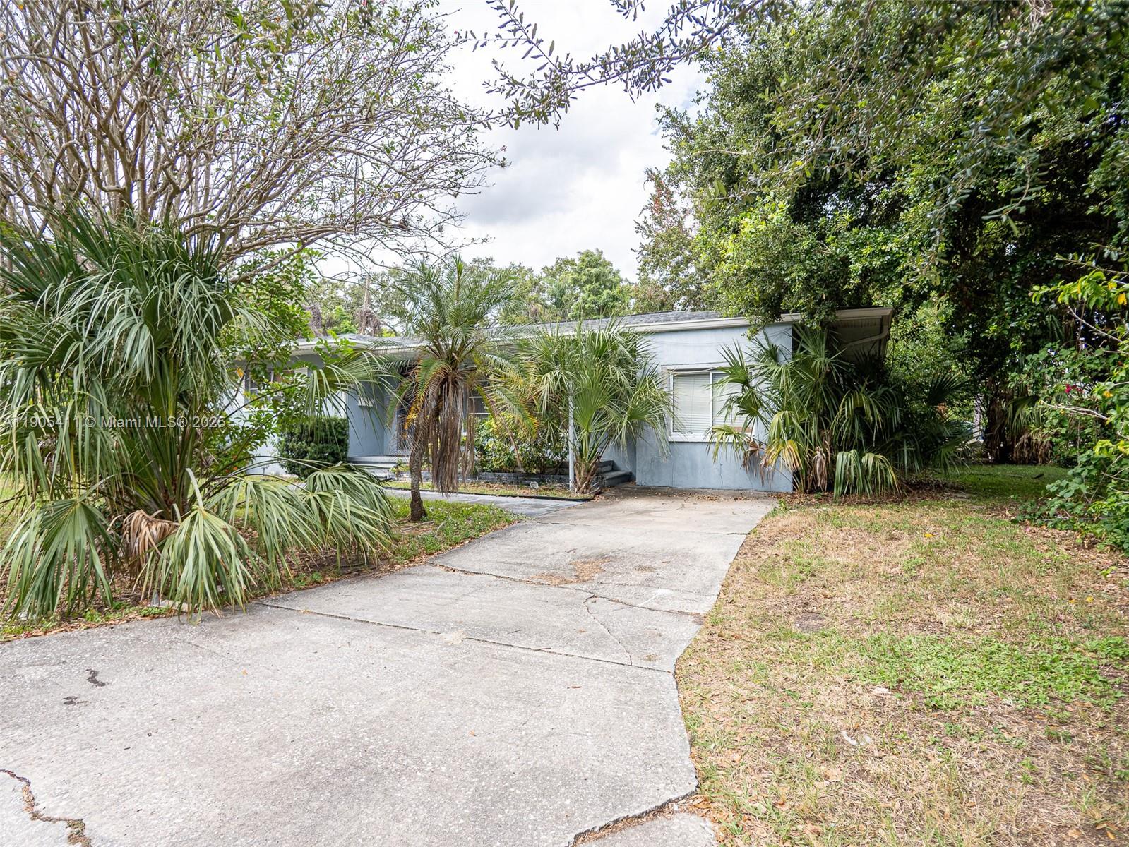 JUNGLE BEACH - Residential