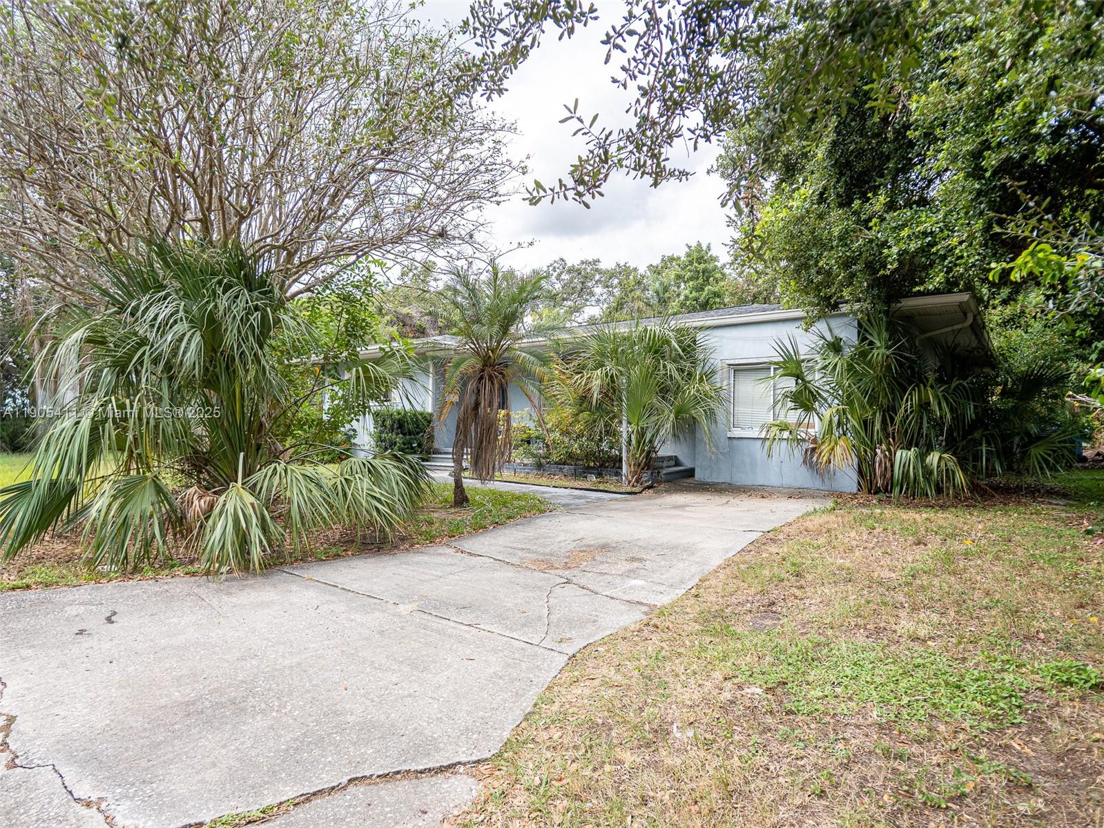 JUNGLE BEACH - Residential