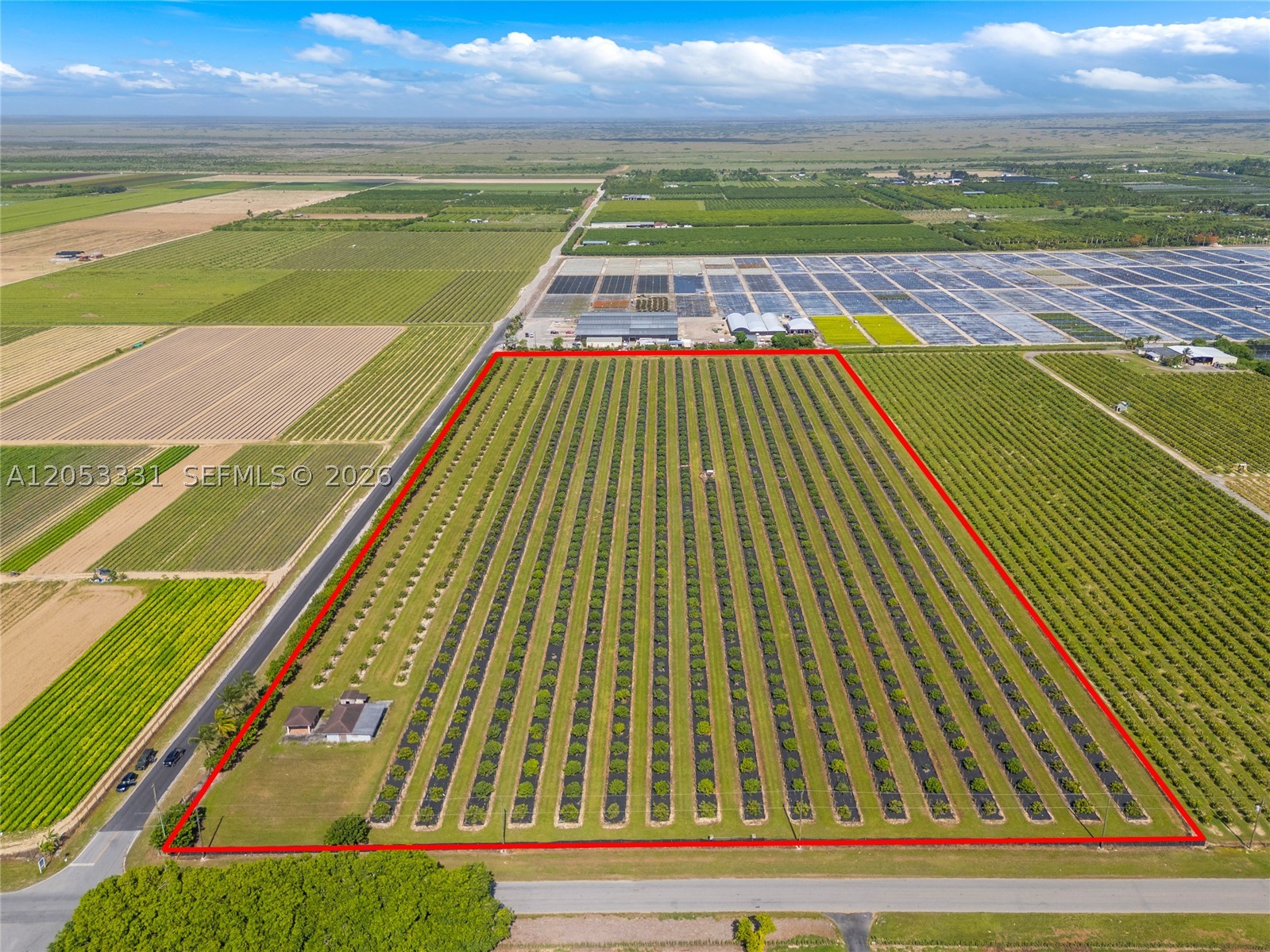 19.63-Acre Producing Sweetheart Lychee/BQ Longan Grove — Corner Lot with Main Road Frontage. Outstanding opportunity to acquire an income-producing tropical fruit grove on 19.63 acres. This corner property offers three-sided access along with an impressive 1,943 feet of main road frontage, providing exceptional visibility and accessibility. The land is fully fenced and irrigated with a micro-jet system, supporting established, producing longan and lychee trees. A farm building and on-site power connection add further functionality, making this a true turnkey setup for growers of any scale — whether starting a new operation or expanding an existing one. Conveniently located at the corner of SW 217th Ave and SW 320th St. Subdivide into 4 buildable lots, create your dream event space space and/or an eco tourism location. An additional 15 acre longan grove and 7.46 acre BQ longan grove are also available down the street. Seller financing is available.