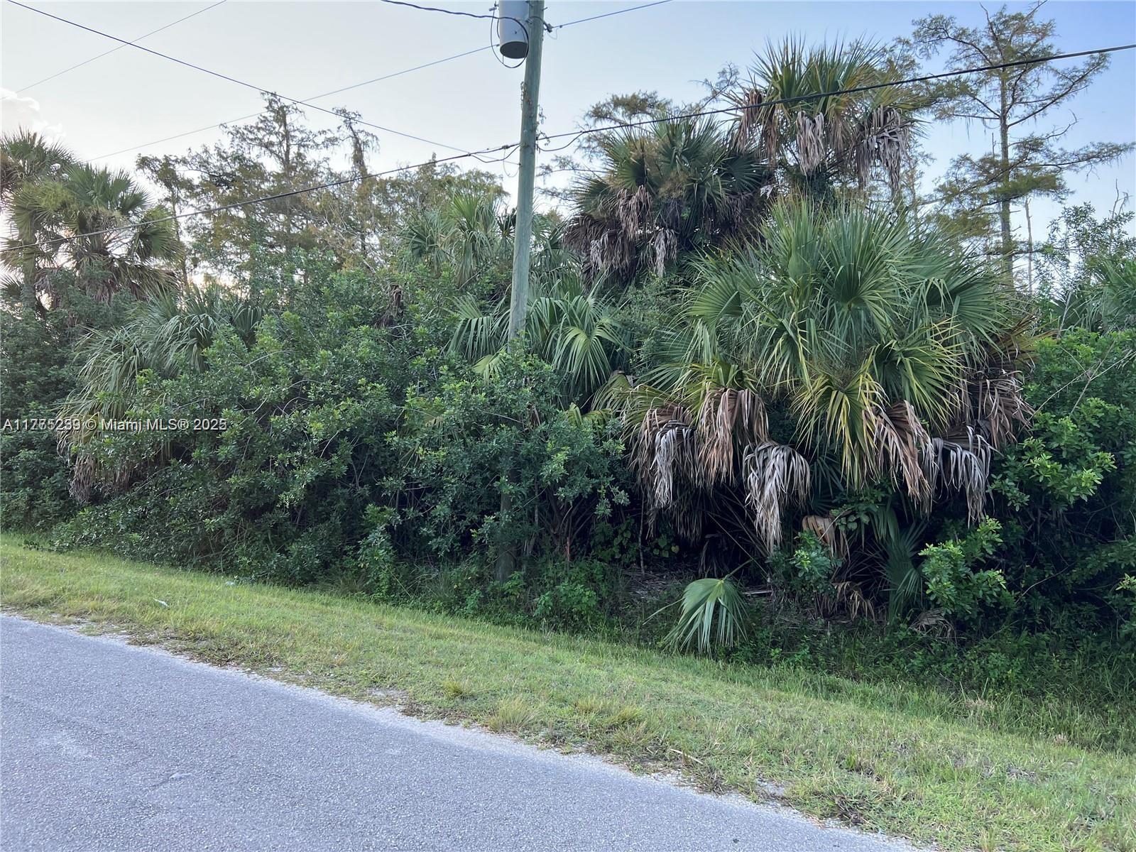 Don't miss this opportunity to own 1.14 acres in the rapidly growing area of Golden Gate Estates, Naples, FL. No HOA and no restrictive community regulations. Preliminary environmental evaluations and conceptual planning have already been completed, supporting potential development feasibility for a single-family residence. Based on preliminary assessments and discussions with FDEP, the property offers a viable path for future development through the ERP permitting process. Beautiful newer homes are being built throughout the surrounding area, making this an excellent opportunity for investors, builders, or future homeowners looking to secure land in one of Naples’ fastest-growing areas.