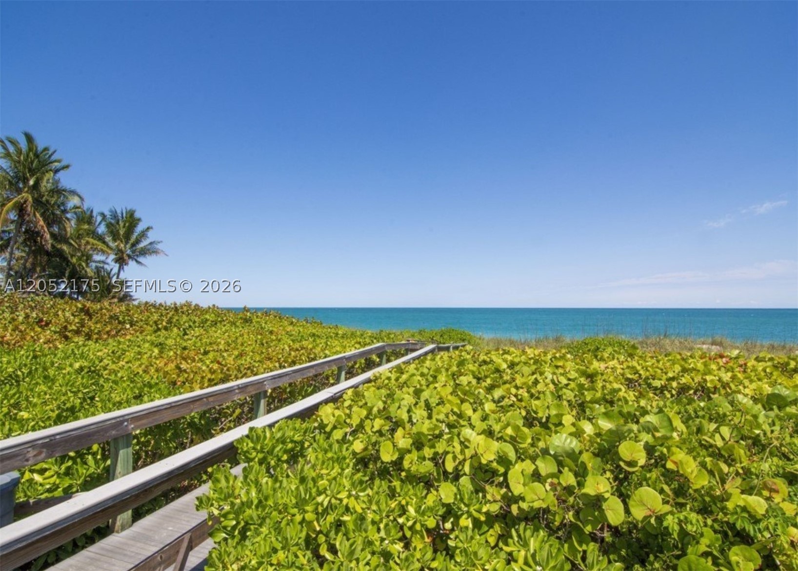 WINDWARD IV CONDOMINIUM - Residential