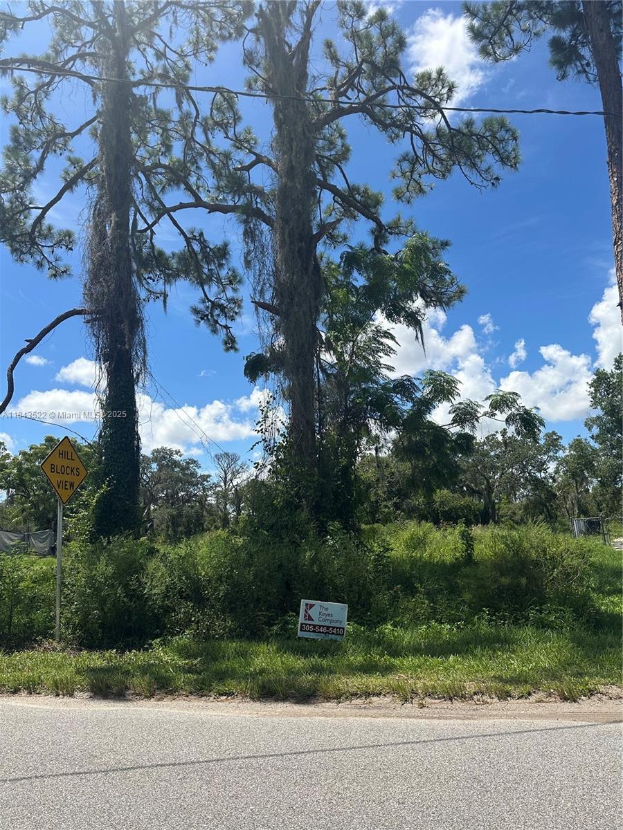 Sun N Lakes Estate - Land
