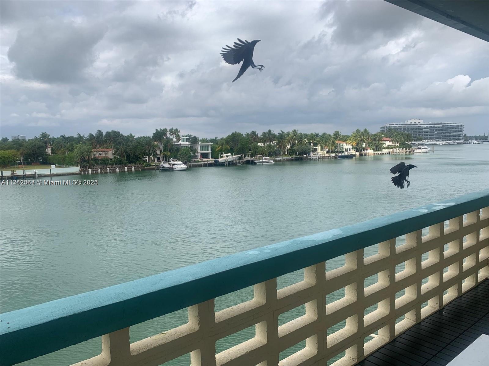 AVAILABLE APRIL 1st, 2025...1 year lease only...Remodeled and unfurnished studio with a balcony offering a beautiful canal view. The rent includes one covered parking space, electricity, and gas. No pets allowed. Maximum of two occupants. The unit is in great condition with stunning water views from the 3rd floor. Enjoy a nice community pool. The building is just two blocks from the beach and within walking distance of supermarkets, shopping, and restaurants. Tenant-occupied, please allow 24 hours notice to schedule a showing.