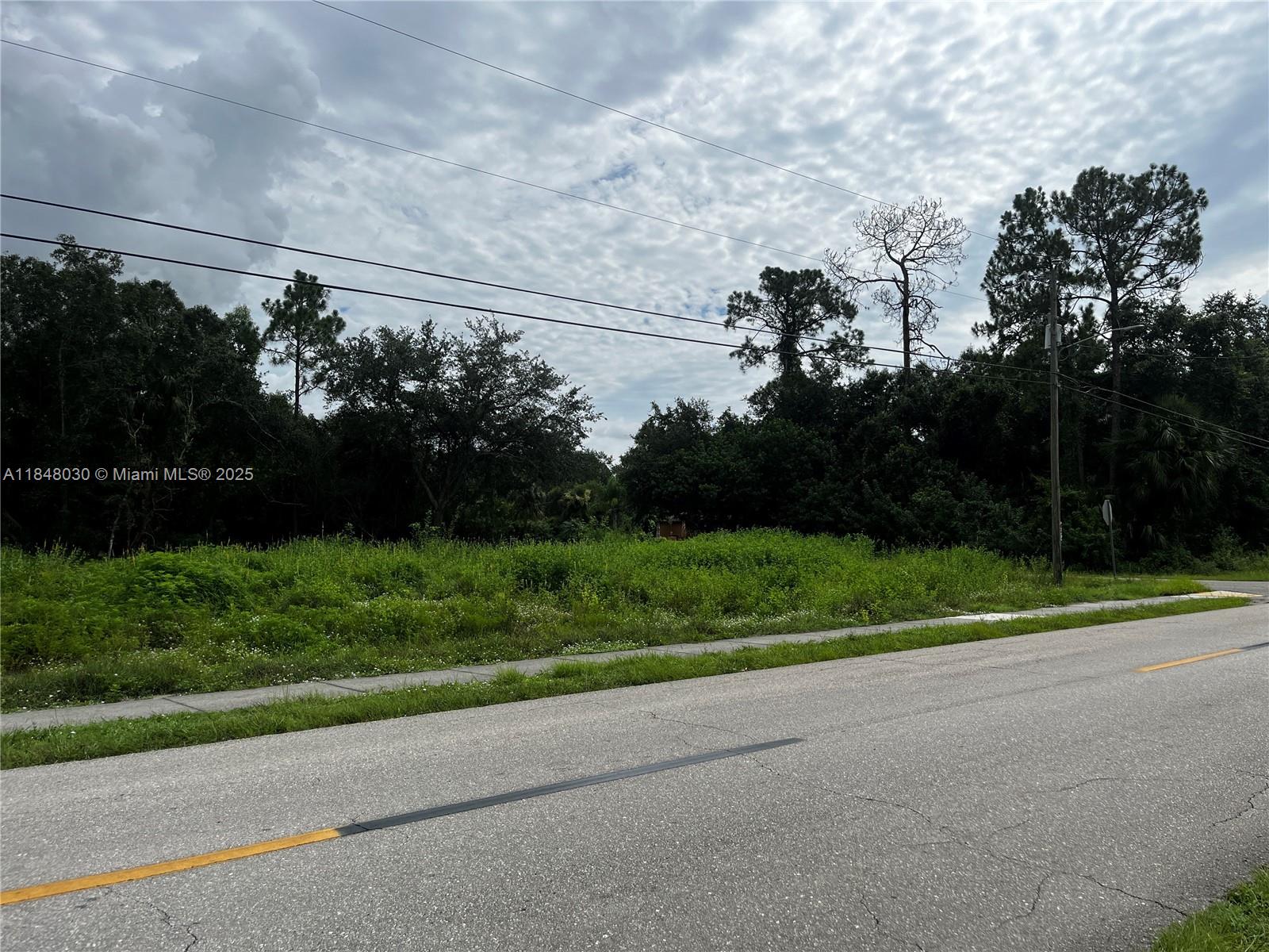 LEHIGH ACRES - Land