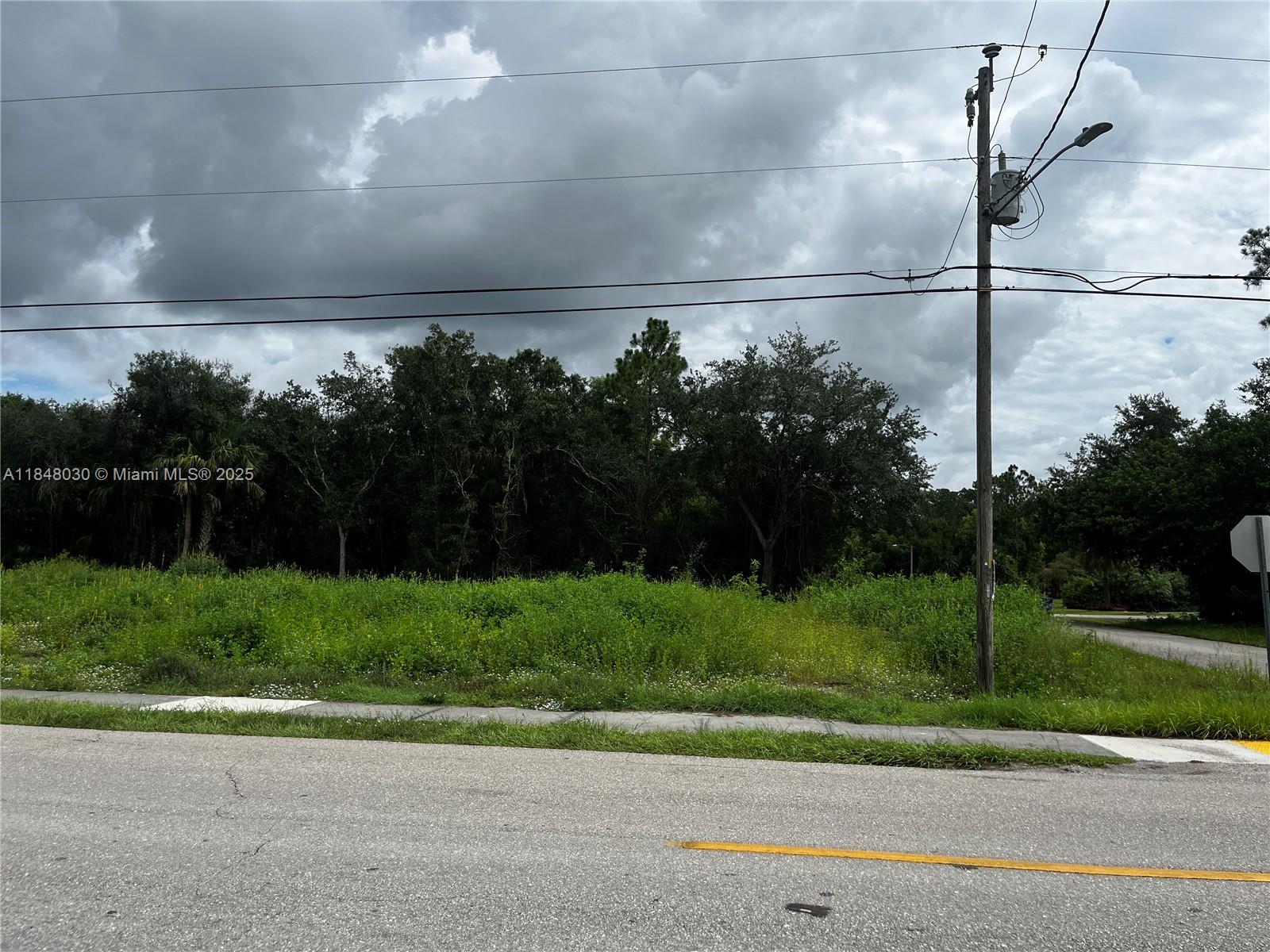 LEHIGH ACRES - Land