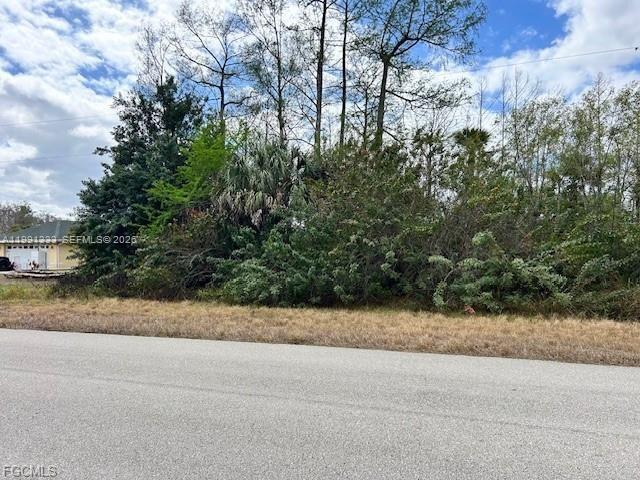 Here’s your opportunity to own land in the thriving, ever-growing Greenbriar neighborhood!