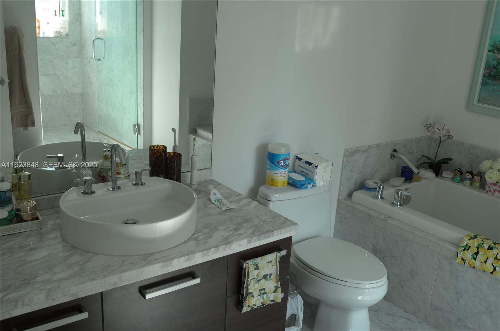 VIZCAYNE SOUTH CONDO - Residential
