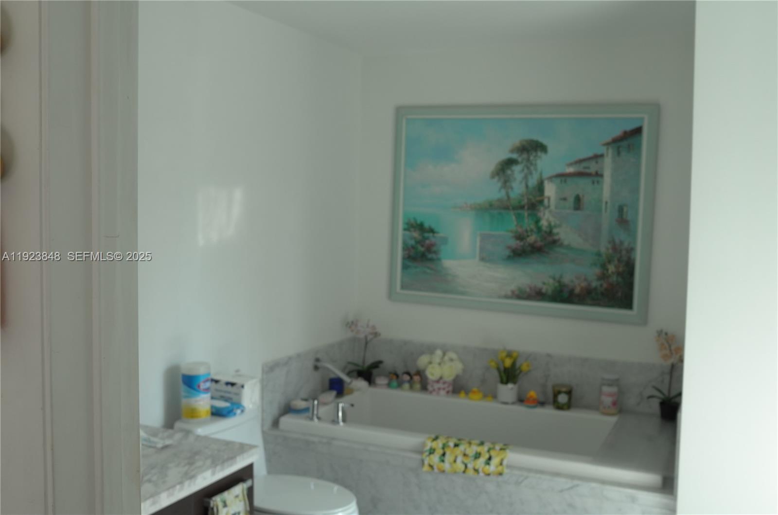 VIZCAYNE SOUTH CONDO - Residential