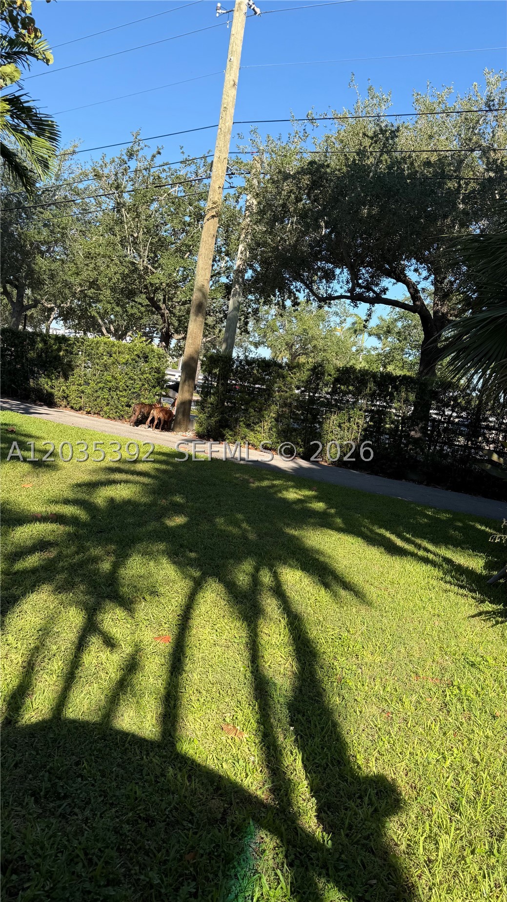 MIAMI SHORES SEC 8 REV - Residential