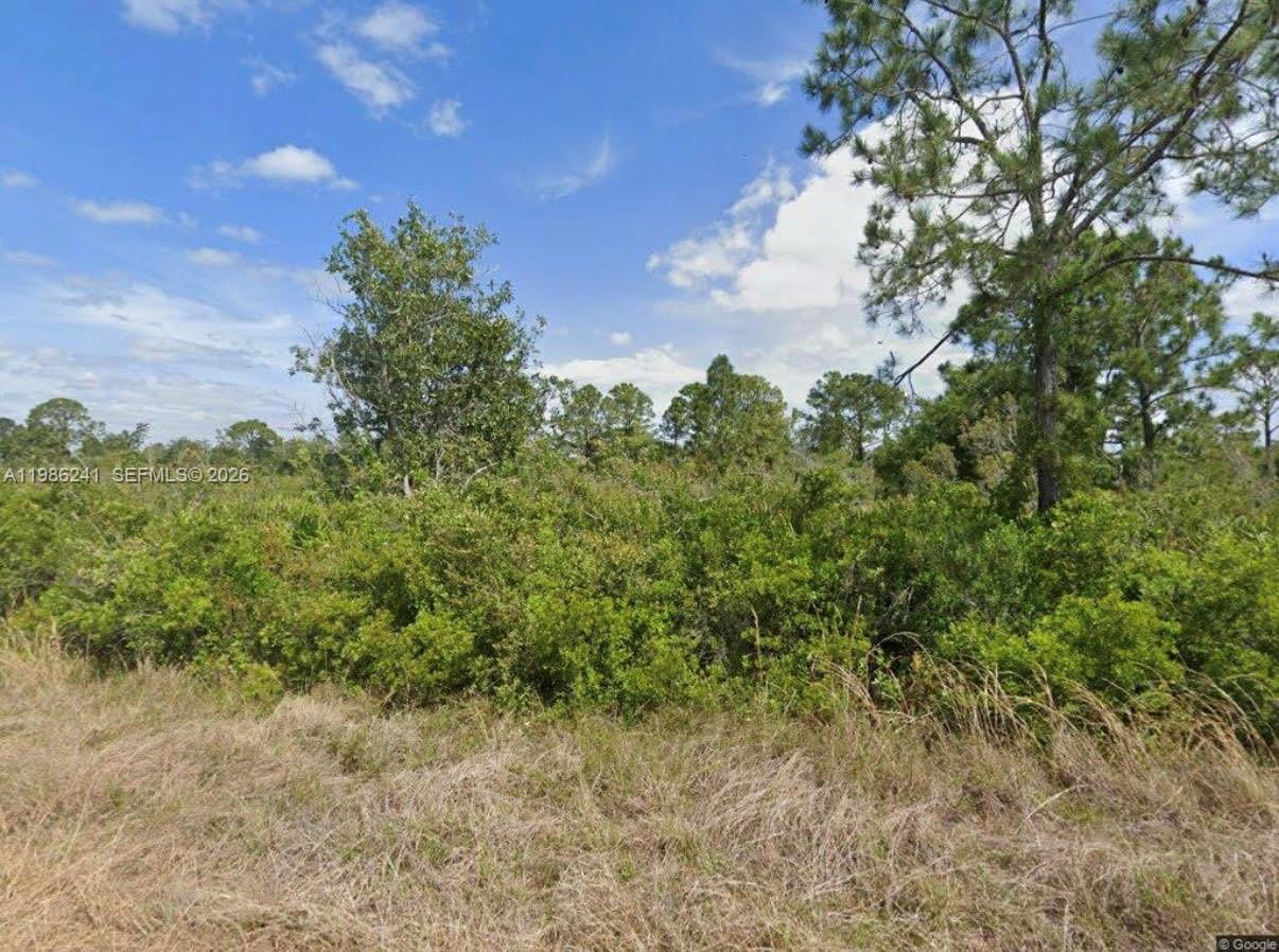 Build Your Dream Home Near Placid Lakes Airport!

Don’t miss this rare opportunity to own a buildable R1A-zoned lot directly across from the Placid Lakes Executive Airport—ideal for aviation enthusiasts who want the convenience of parking their plane just steps from home. Located in the desirable Placid Lakes community, this property offers both comfort and accessibility just minutes from the heart of Lake Placid. Enjoy a relaxed, outdoor lifestyle with nearby access to Lake June and Lake Placid, perfect for boating, fishing, and recreation. With Highway 27 close by, you’ll have easy access to shopping, dining, and everyday essentials.