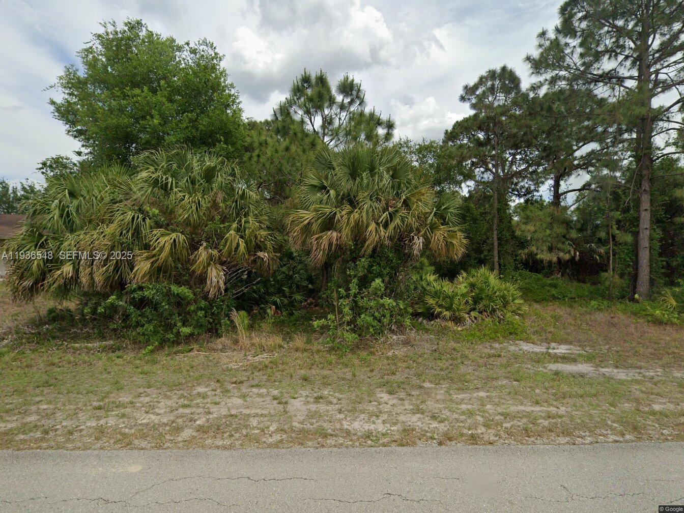 BUILT YOUR DREAM SINGLE FAMILY HOUSE ON THIS SUPERB LOT. THE ROAD IS ALREADY DONE AND SEVERAL NICE HOUSES HAVE BEEN RECENTLY BUILT ALL AROUND. GREAT UPCOMING AREA.