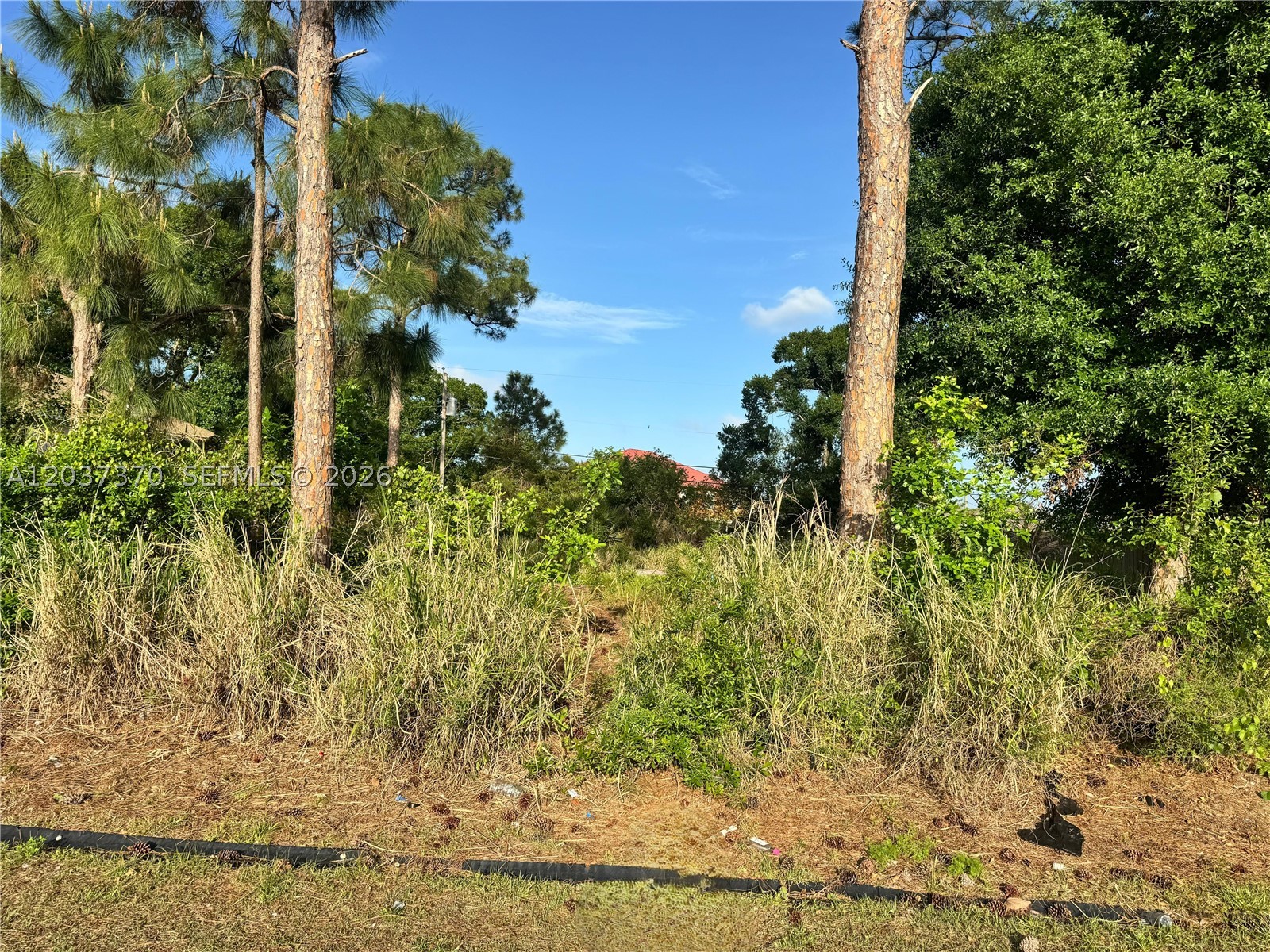 PORT ST LUCIE SECTION 19 - Land