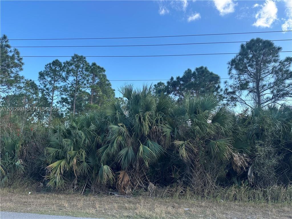Excellent opportunity to own a spacious vacant residential lot in the heart of Lehigh Acres, Lee County. Located in the established Greenbriar Unit 41 subdivision, this parcel offers a blank canvas to build your dream home or hold as a solid land investment in one of Southwest Florida's fastest-growing communities. Conveniently situated near schools, shopping centers, and major roads. No HOA. Easy access to Fort Myers and Naples. Don't miss this chance to secure your piece of Florida at an unbeatable price!