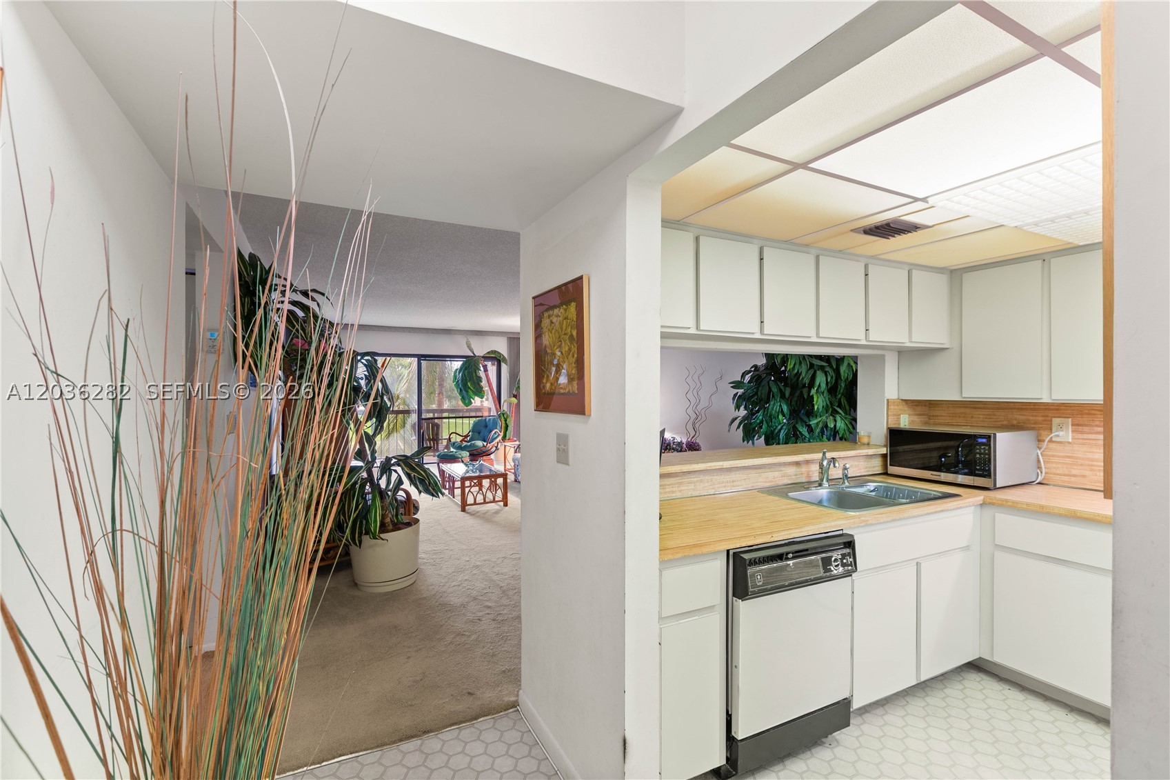 LAS BRISAS VILLAGE CONDO - Residential