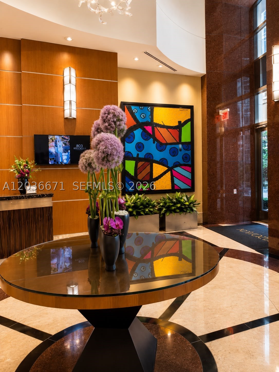 VIZCAYNE SOUTH CONDO - Residential