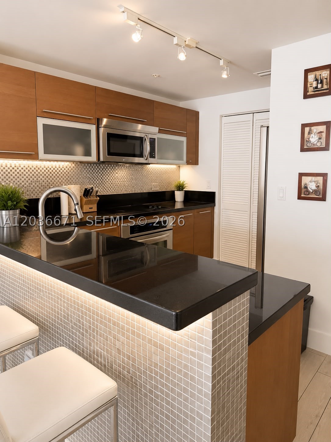 VIZCAYNE SOUTH CONDO - Residential