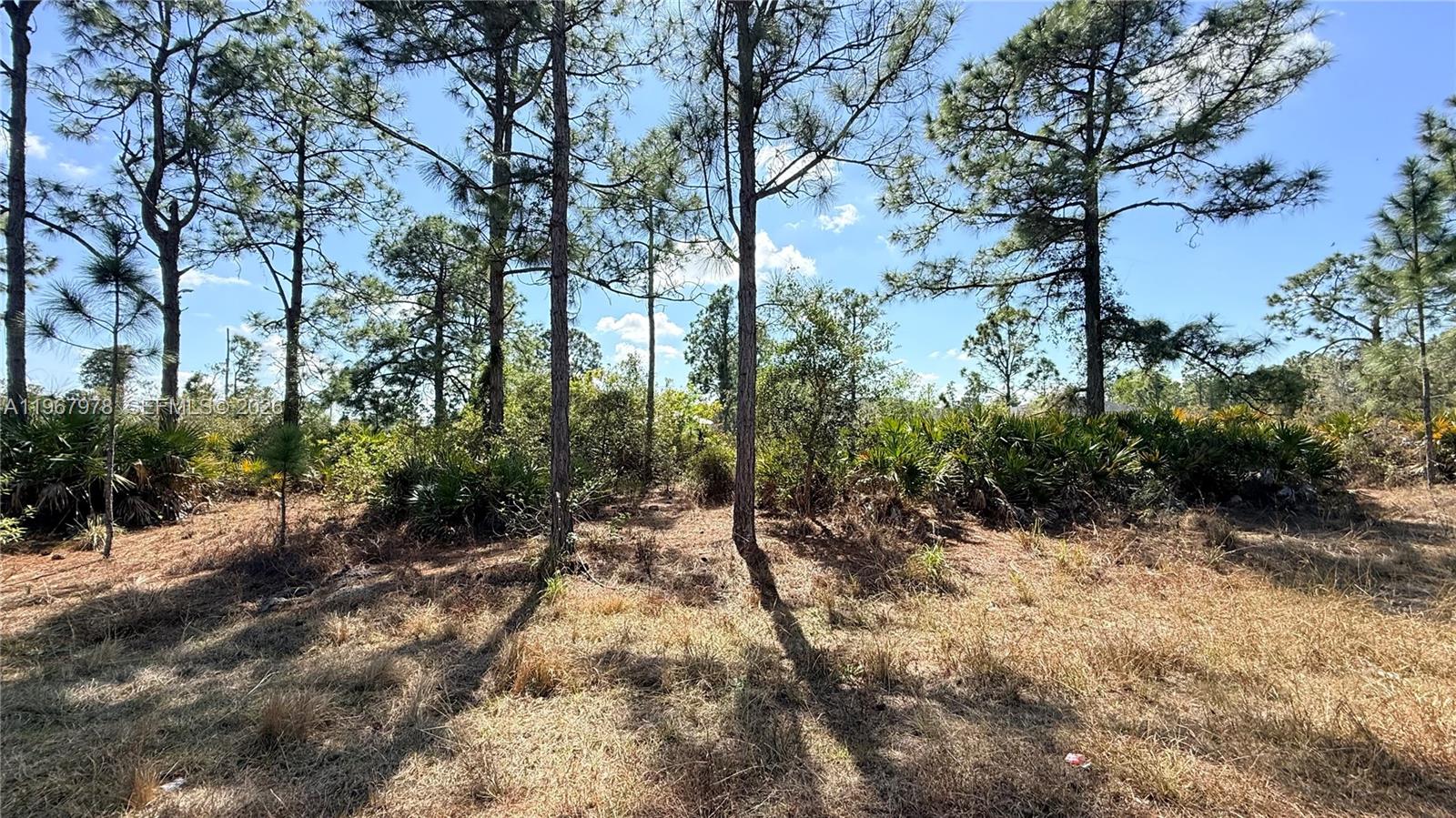 Beautiful residential lot for sale in a rapidly growing area. Convenient location with easy access to shopping, schools, dining, and major roads. Great opportunity for owner-builders or investors—secure your piece of Florida today.