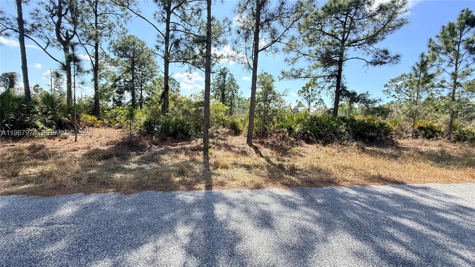 LEHIGH ACRES - Land
