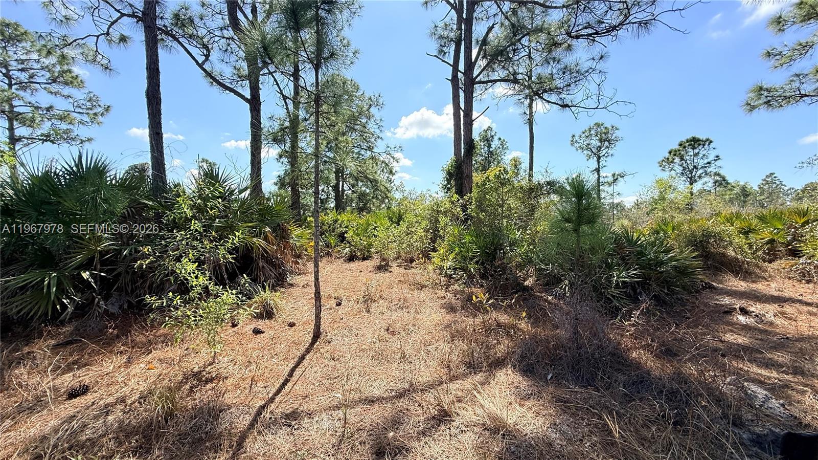 LEHIGH ACRES - Land